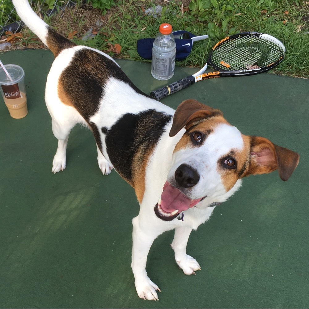 Meet your Posher, Alicia